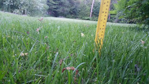 20150621_210048.jpg